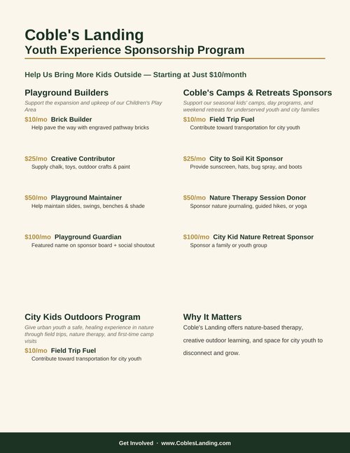 Youth Experience Sponsorship Program flyer preview