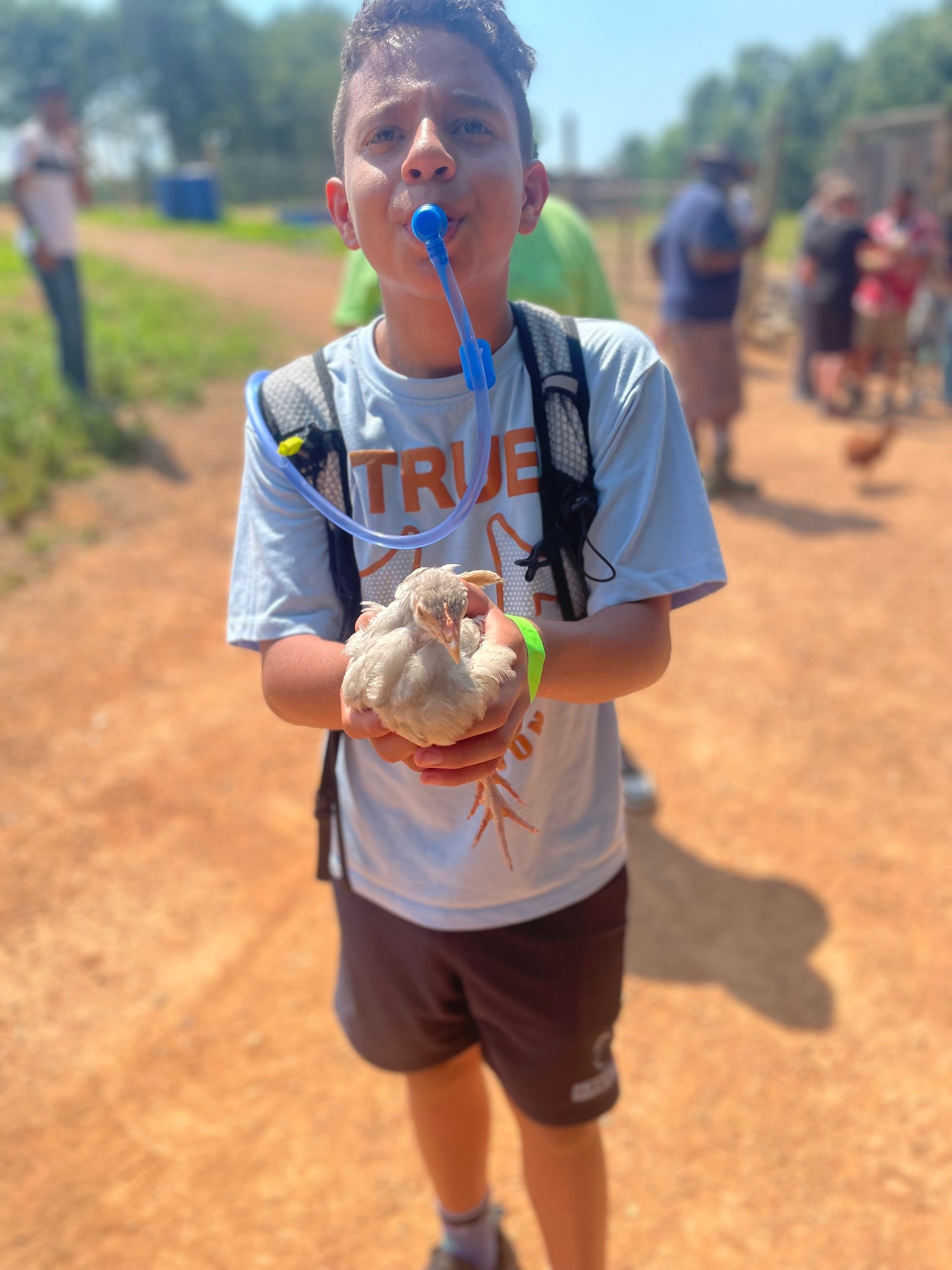 Young camper holding a chick during a Cobles Landing farm activity